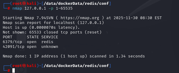 image-20251130213110039