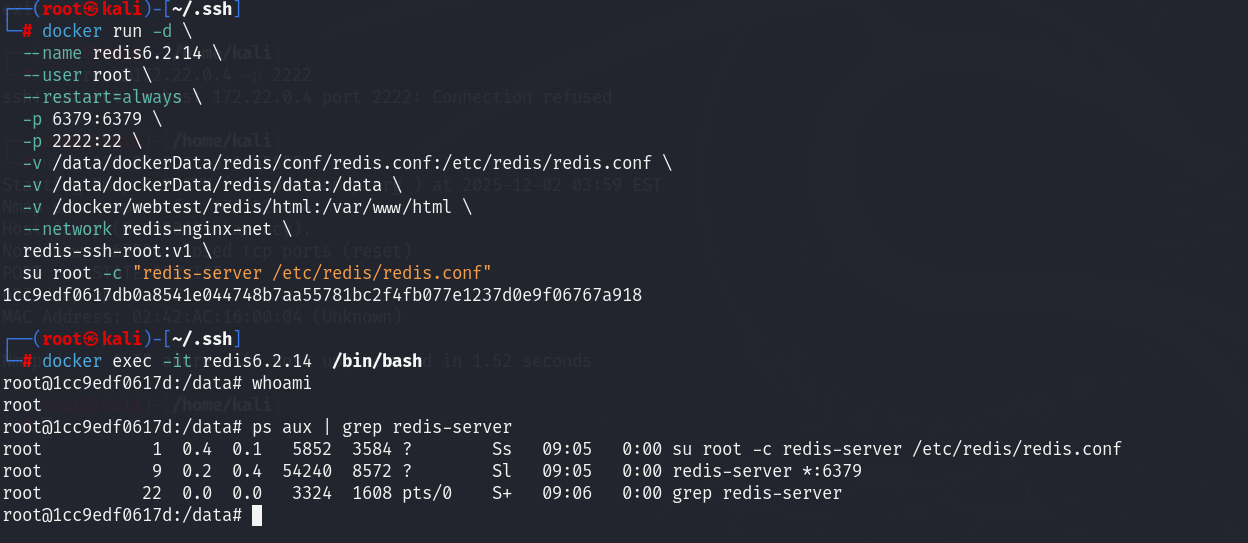 image-20251202170648496